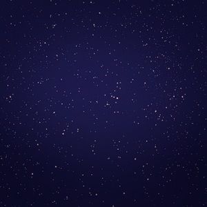 Meet your Posher, Leila